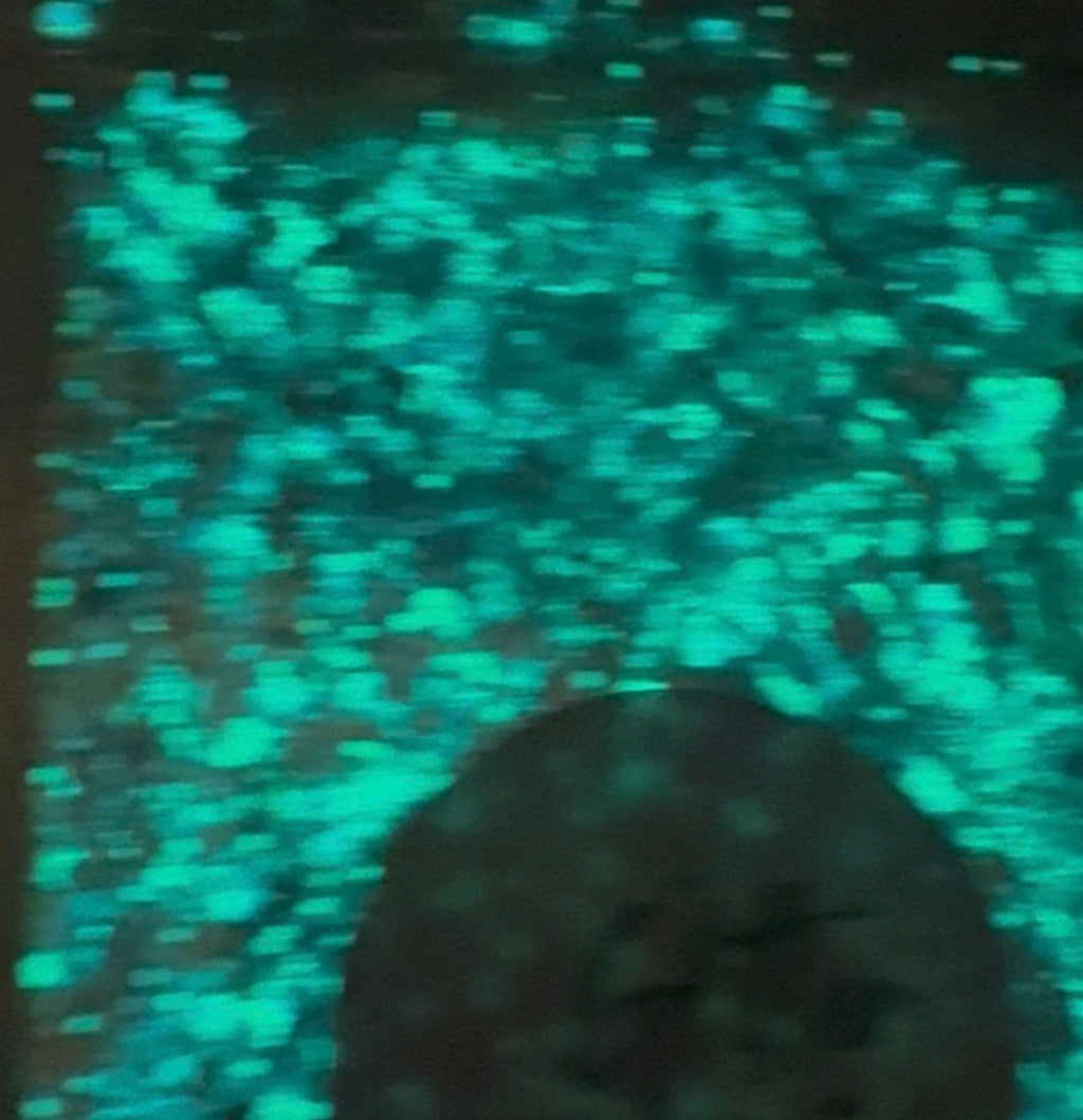 Moonbeam Glow