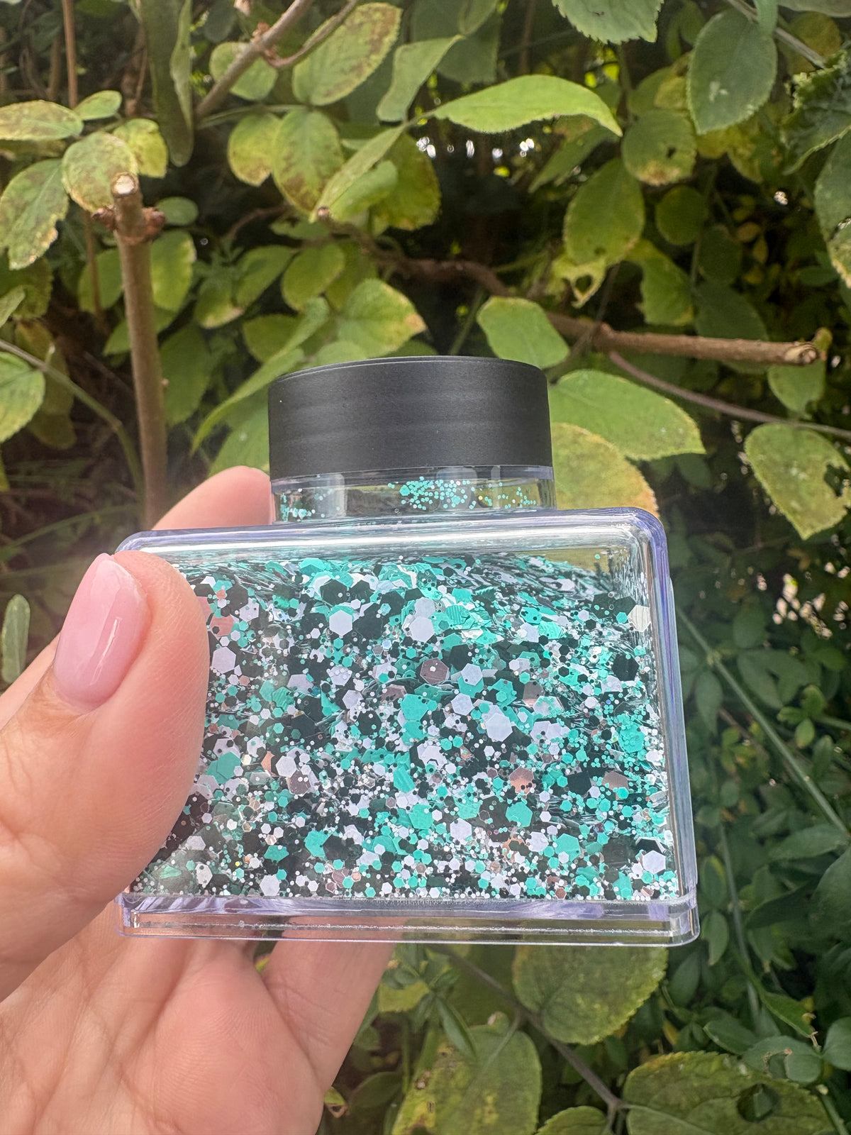 Merry & Teal