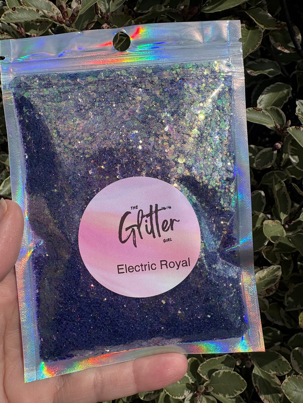 Electric Collection Bundle