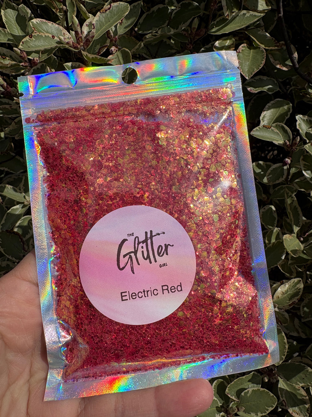 Electric Collection Bundle